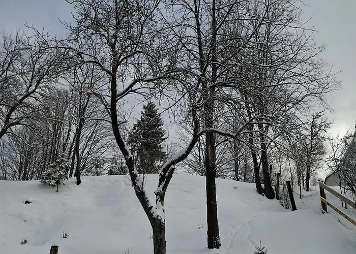 Apartment Tasia Myto pod Dumbierom